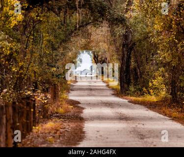 Schotterpiste durch die Wildnis in Florida - Herbstfarben Stockfoto