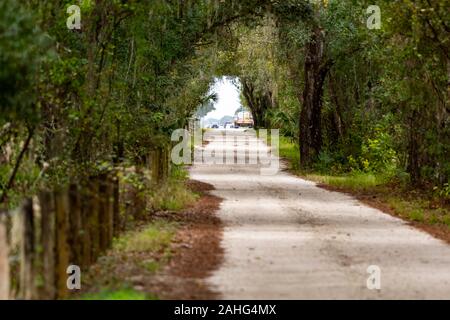 Schotterpiste durch die Wildnis in Florida Stockfoto