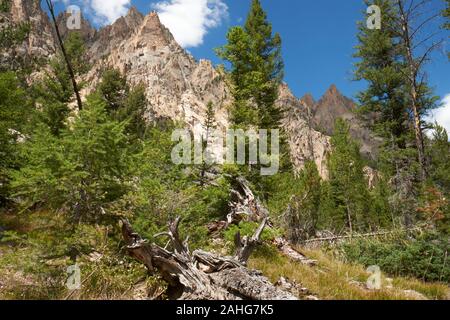 Sägezahn Berge, Idaho, USA Stockfoto