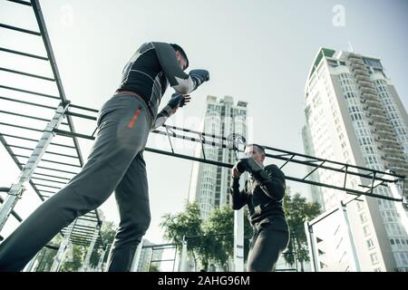 Taille zwei Boxer stehend auf dem Sportplatz und in der Ausbildung Stockfoto