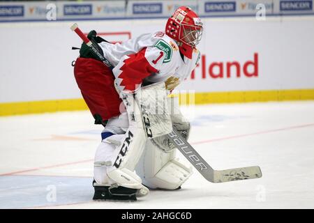 Ostrava, Tschechische Republik. 29 Dez, 2019. Torhüter Amir Miftakhov (RUS) in Aktion während der 2020 IIHF World Junior Eishockey WM Gruppe B Übereinstimmung zwischen den USA und Russland in Ostrava, Tschechische Republik, am 29. Dezember 2019. Credit: Petr Sznapka/CTK Photo/Alamy leben Nachrichten Stockfoto