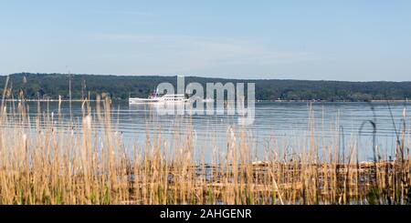 Panorama des Ammersees mit Raddampfer/Schiff 'iessen'. Gelbe Reed im Vordergrund. Die Gegend um den Ammersee zieht viele Touristen an. Stockfoto