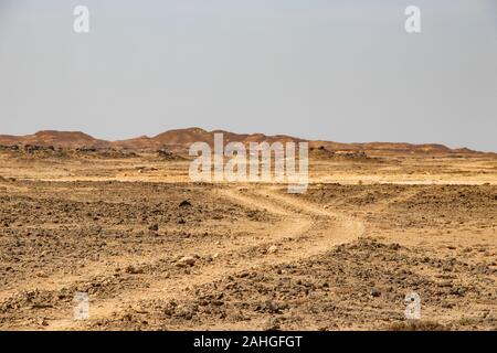 Steinwüste jiddat al Harasis im Oman Stockfoto