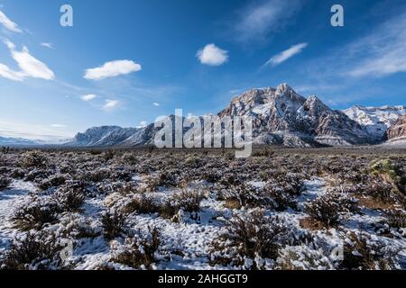 Winter wüste Schnee auf Mt Wilson im Red Rock Canyon National Conservation Area. Eine beliebte Natural Area 20 Meilen von Las Vegas, Nevada. Stockfoto