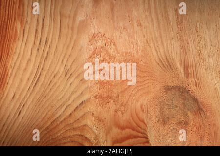 In der Nähe von Holz- Textur einer frisch geschnittene Kiefer. Jahresringe auf dem Baumstamm. Hellen Hintergrund der Baumstamm im Querschnitt Stockfoto