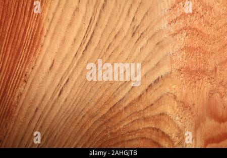 In der Nähe von Holz- Textur einer frisch geschnittene Kiefer. Jahresringe auf dem Baumstamm. Hellen Hintergrund der Baumstamm im Querschnitt Stockfoto