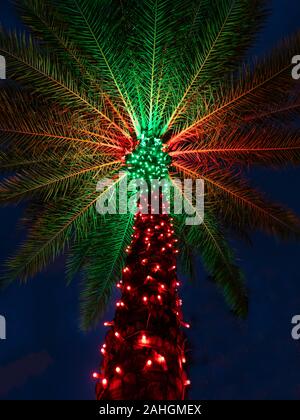 Weihnachten Licht decorationed Palme in tropischen Florida Stockfoto