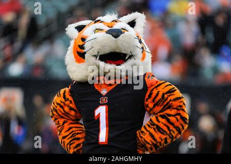 Cincinnati, OH, USA. 29 Dez, 2019. Cincinnati Bengals maskot während eines Spiels zwischen den Cleveland Browns und die Cincinnati Bengals an Paul Brown Stadium am 29. Dezember 2019 in Cincinnati, OH. Dorn Byg/CSM/Alamy leben Nachrichten Stockfoto