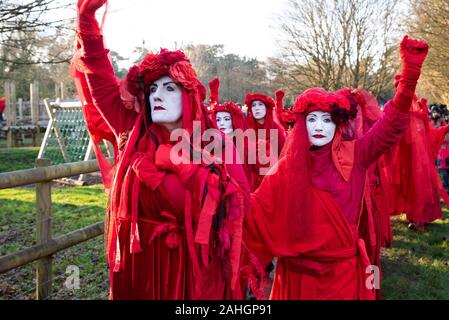 Denham, UK. 29. Dezember 2019. Stehen für die Bäume, einen für die Tierwelt und Wasser, organisiert von Chris Packham und vom Aussterben Rebellion, # ReThinkHS 2, speichern Sie die Colne Valley, STOP HS2 und Hillingdon Grüne Partei unterstützt. Referenten das Bedrohungen der Lebensräume, die in den Wohnungen der bedrohten Aale, Fledermäuse, Fischotter, Wasser Wühlmäuse, der Verlust von 28.000 Bäume zu HS2 und der Chalk aquifer, zu viel von Londons Wasser trägt. Hier im Bild März Rebellion Aussterben rote Rebellen. Credit: Stephen Bell/Alamy Stockfoto