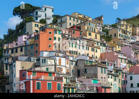 Häuser auf den Felsen von Riomaggiore in der italienischen Küste Cinque Terre Stockfoto