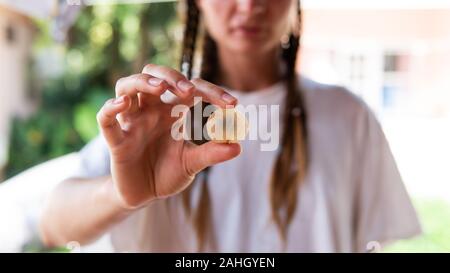 Longan ist ein ungewöhnliches tropische Frucht aus Asien. Dragon eye Obst, - Lam - Yai Stockfoto