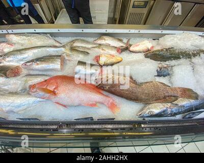 Sortierte frischen Fisch auf Eis für Verkauf an Meeresfrüchten Marktplatz Stockfoto