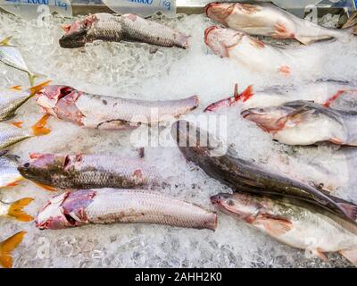 Frische Fische zum Verkauf an Gefrorene Meeresfrüchte in Supermarkt Abschaltdruck Stockfoto