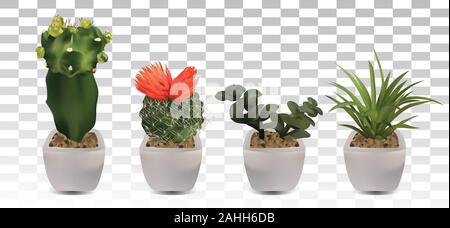 Sammlung 3d realistische Kaktus mit Blüte. Dekorative Blumen auf transparenten Hintergrund. Schöne Symbol Kaktus mit Blüte. Vector Illustration Stock Vektor