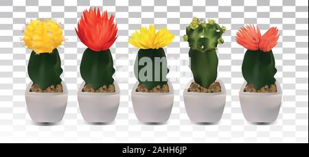 Sammlung 3d realistische Cactus mit gelb, rot, rosa Blume. Dekorative Kakteen auf transparentem Hintergrund. Schöne Symbol. Vector Illustration Stock Vektor