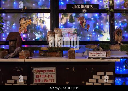 Eulen schlafen in einem Eulencafé in Akihabara, Tokio, Japan. Stockfoto