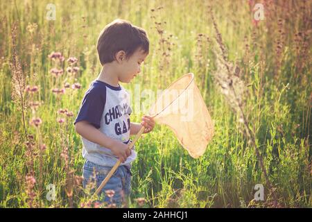 Fröhliches Kind spielen in einem Feld mit Insekt net im Sommer. schmetterlingsnetz fangen Schmetterlinge Stockfoto