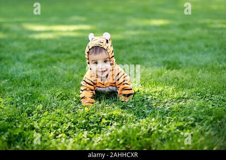 Cute Baby Boy trägt einen Tiger Kostüm im Gras im Park sitzen Stockfoto