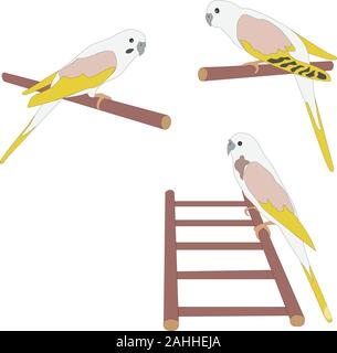 Satz von drei niedlichen Papageien Vögel auf Zweig und Leiter. Flache Vector Illustration Stock Vektor