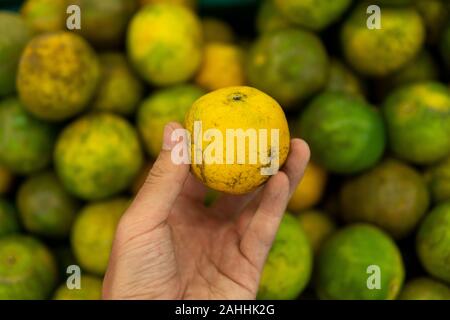 Mans Hand eine grüne Frische ganze reife Green Tangerine mit viel Grün tangerinen als Hintergrund. Essen Konzept. Tropischen und Exotischen Früchten Stockfoto