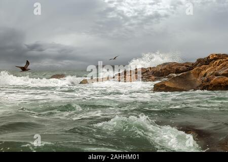 Der Ozean westlich von Portugal an der Mündung des Flusses Douro in Porto im Herbst Stockfoto