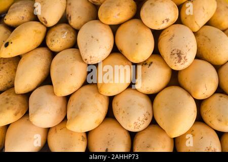 Mangofrüchte Haufen zusammengestellt haben Muster vor Shop am Markt Stockfoto