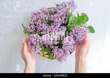Frau florist mit lila Blumenschmuck. Hellen Hintergrund, weiblich und goldene Tablett mit Blumen in den Händen für Inneneinrichtung Stockfoto