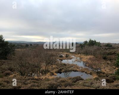 Ein schöner Tag auf North Beach GROSSBRITANNIEN Stockfoto