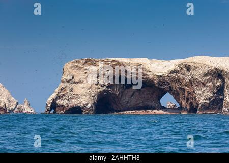 Rookery Seelöwen am Strand in der Grotte der Ballestas Inseln im Nationalpark von Paracas, Peru. Stockfoto