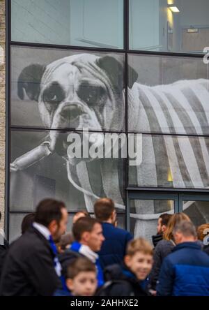 Ein riesiger Hund blickt auf die Fans, die zum Premier League-Spiel zwischen Brighton und Hove Albion und AFC Bournemouth im Amex Stadium Brighton, Großbritannien ankommen - 28. Dezember 2019 Photo Simon Dack/Tele Images. - Nur redaktionelle Verwendung. Kein Merchandising. Für Fußballbilder gelten Einschränkungen für FA und Premier League. Keine Nutzung von Internet/Mobilgeräten ohne FAPL-Lizenz. Weitere Informationen erhalten Sie von Football Dataco Stockfoto