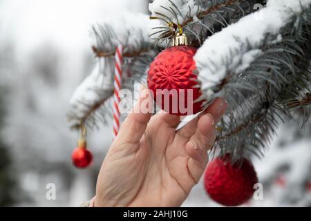 Weihnachten im Hintergrund mit Fir Tree Branches, Dekorationen und verschwommen Lichter. Weibliche Hand hängt, eine rote Kugel auf dem Weihnachtsbaum Stockfoto