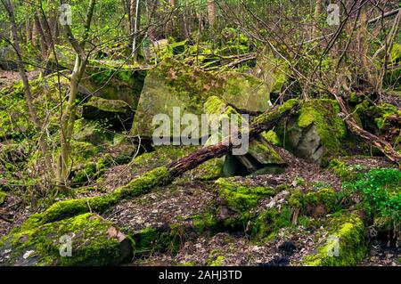 Überwucherte Überreste der Gewinnung von Steinen und Erden in den alten Wald von Bitholmes Holz, Wharncliffe Seite in der Nähe Deepcar, South Yorkshire. Stockfoto