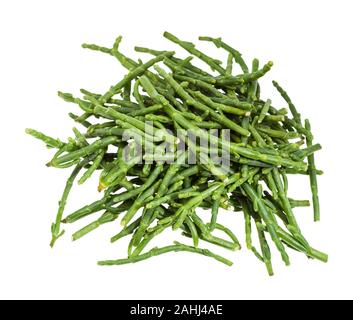 Blick von oben auf die Haufen von frischen Zweigen der Queller (salicornia) Pflanze isoliert auf weißem Hintergrund Stockfoto