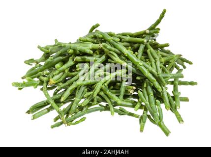 Stapel von frischen Zweigen der Queller (salicornia) Pflanze isoliert auf weißem Hintergrund Stockfoto