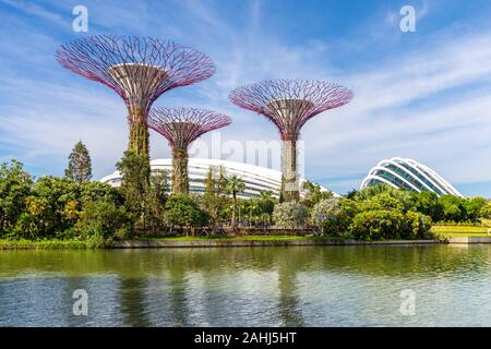 Singapur, Singapur - Juni 8, 2019: Supertree der Gärten durch die Bucht in Singapur. Stockfoto