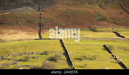 Trockenmauern und ein Feld Scheune auf einem Hügel in Arkengarthdale. Stockfoto