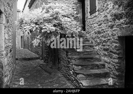 Gasse mit Stein Schritte (Rue des Martyrs) in der alten Katharer Dorf Minerve, Hérault, Royal, Frankreich. Schwarz und Weiss Stockfoto