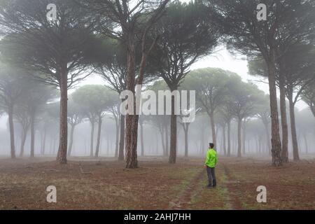 Einen Mann verloren, und in der Mitte eines Waldes mit Nebel desorientiert Stockfoto