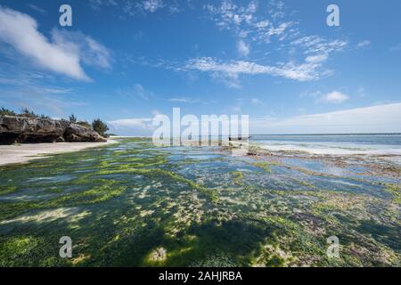 Panorama Blick auf die Ostküste von Sansibar Stockfoto