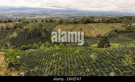Luftaufnahme der Kaffeeplantage in San Vito, Costa Rica Stockfoto