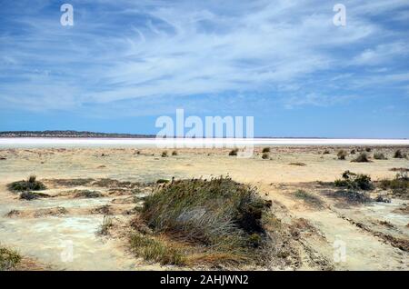 Australien, Hutt Lagoon, ein Salt Lake auch genannt rosa See Stockfoto