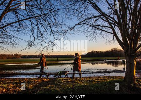 Wimbledon Common, London. 30. Dezember 2019. UK Wetter: Hund Wanderer genießen heute trockenen sonnigen Tag Ende Dezember Abend Sonne wie die Sonnenuntergänge im Westen bei Wimbledon Common, wo Teile der Anlage noch nass werden, nachdem die hohe Zahl der Regentage in den vergangenen Wochen, London, UK Credit: Jeff Gilbert/Alamy leben Nachrichten Stockfoto