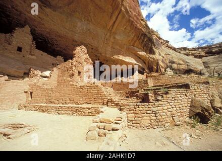 Long House, Mesa Verde, Colorado Stockfoto