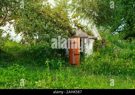 Alte Holztür eines verlassenen überwachsen Keller. Stockfoto