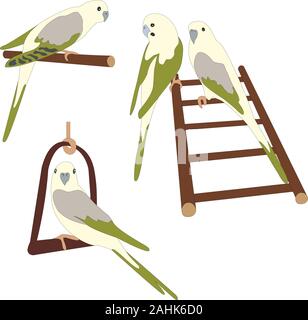 Satz von drei niedlichen Papageien Vögel auf Zweig und Leiter. Vogel. Flache Vector Illustration Stock Vektor