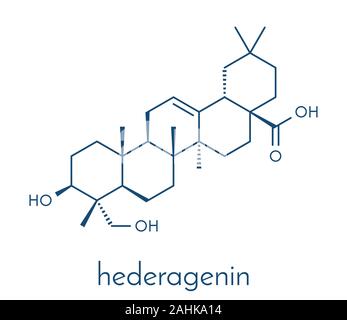 Hederagenin common ivy Molekül. Skelettmuskulatur Formel. Stock Vektor