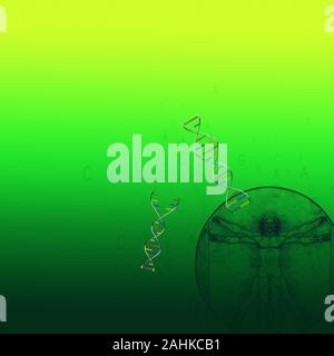 DNA-Stränge und Der vitruvianische Mensch Stockfoto