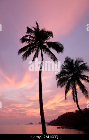 Ein roter Himmel und über Tropical Bay mit einem ruhigen Meer und die Silhouette Palmen, Rot Glühen von der untergehenden Sonne über Viaguinim Strand, Panaji, Goa, Indien, ve Stockfoto