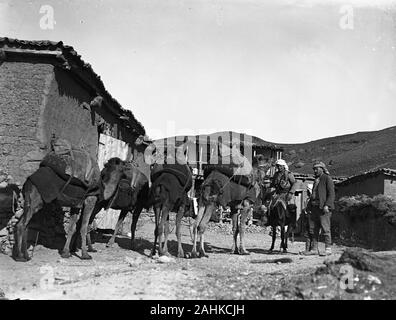 Eine kleine Karawane von 4 Kamele mit Waren, die durch ein kleines Bergdorf im westlichen Teil der Osmanischen Türkei verpackt. Ein Mann in traditioneller Kleidung auf einem Esel und einem anderen Mann, der von einem Jungen begleitet und beobachtet die Tiere vorbei. Foto um 1910-1920 berücksichtigt. Kopie von einem trockenen Glasplatte, die aus der Herry W. Schaefer Sammlung. Stockfoto