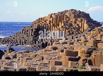 Basaltsäulen und trittsteine der Giant's Causeway mit rosa Sparsamkeit Blumen wachsen in die Risse bilden die Küstenlinie, Giant's Causeway, County Stockfoto